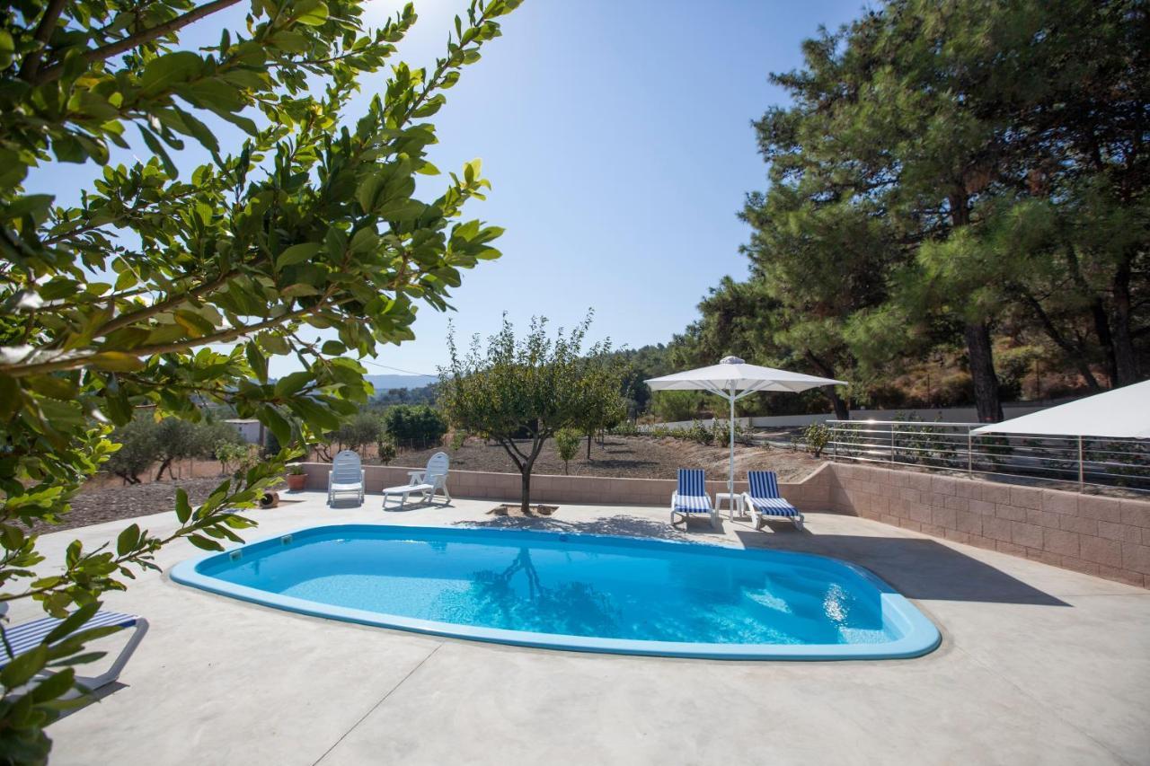 The Olive Grove Villa Private Pool With Star Links Wifi Theológos Exterior foto