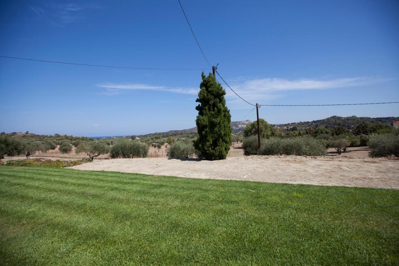 The Olive Grove Villa Private Pool With Star Links Wifi Theológos Exterior foto