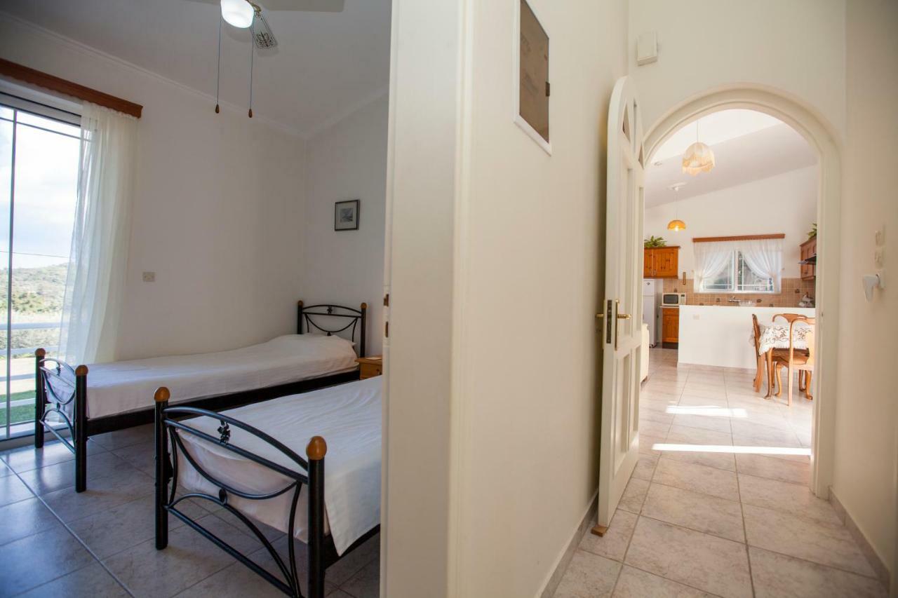 The Olive Grove Villa Private Pool With Star Links Wifi Theológos Exterior foto